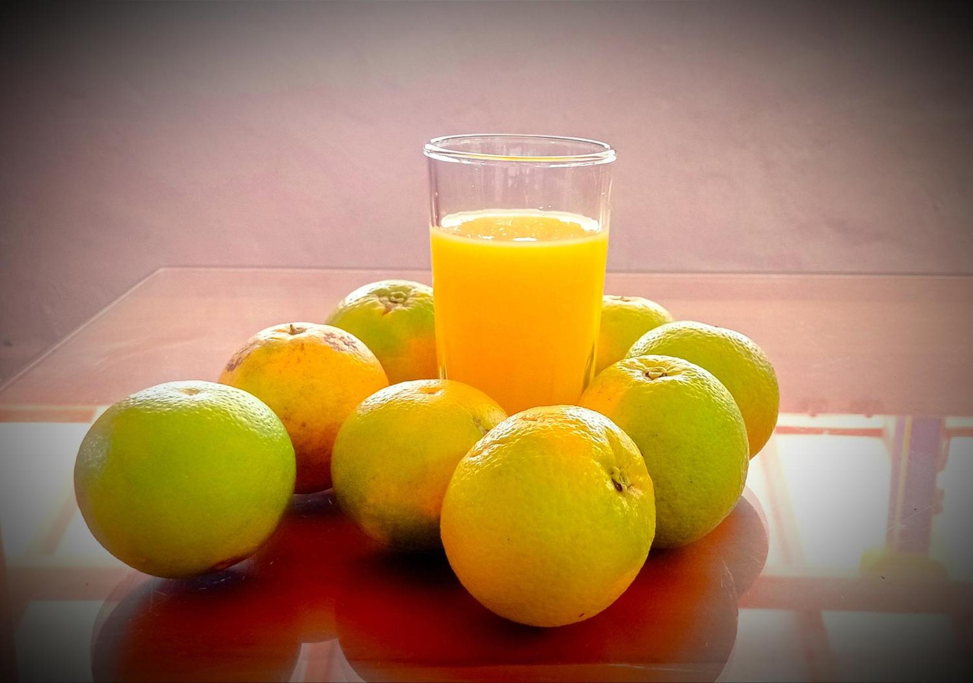 ᒍᑌᕼᗩᒪᑌ Otel Jericoc  Dış mekan fotoğraf